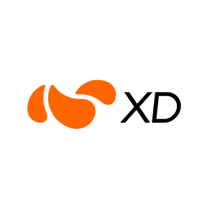 XD International