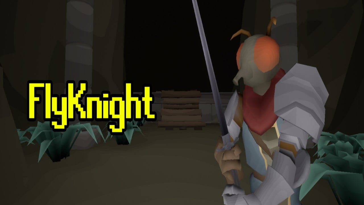 FlyKnight cover