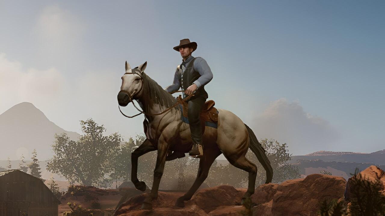Cowboy Life Simulator