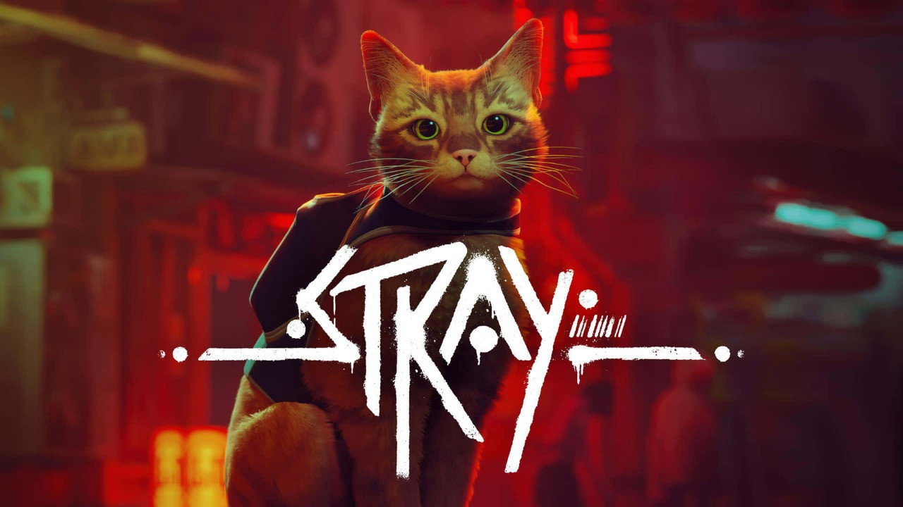 Stray cover