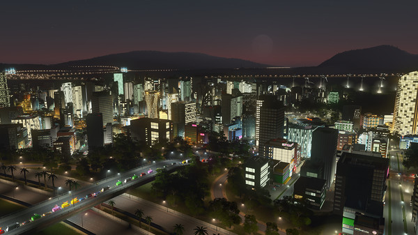 Cities Skylines screenshot 2