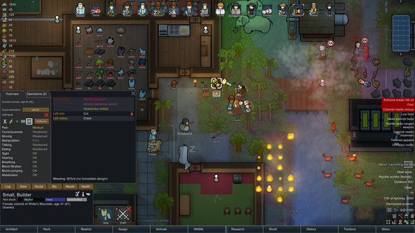 RimWorld screenshot 4