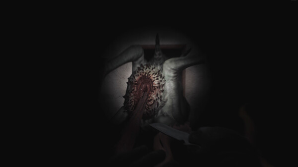 SCP 5K screenshot 4