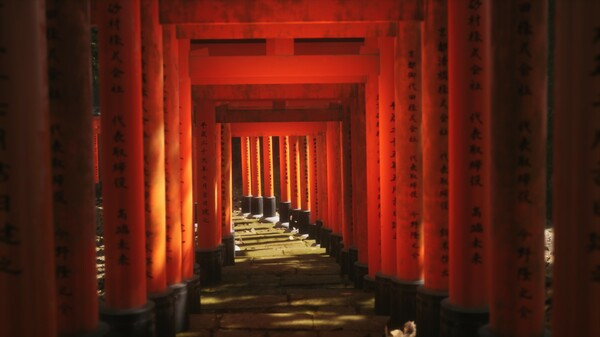 Lushfoil Photography Sim screenshot 3