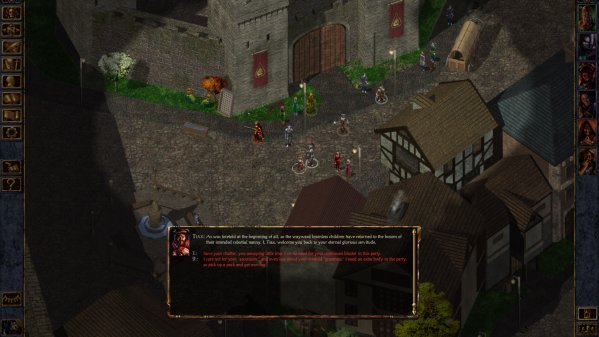 Baldur's Gate screenshot 3