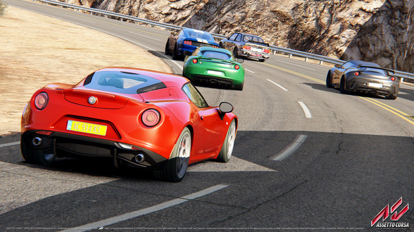 Assetto Corsa Online