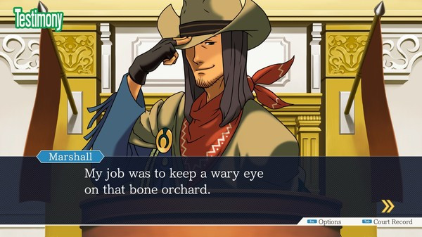 Phoenix Wright Ace Attorney Trilogy Gameplay