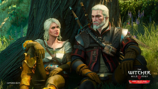 The Witcher 3 Wild Hunt Online