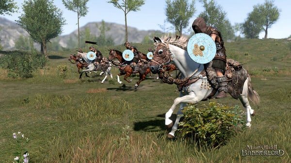 Mount  Blade II Bannerlord On PC