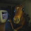 dukodre