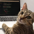 romeupro