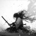 _sharko_7