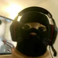Paladinz