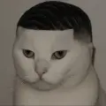 Rodent