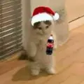 sosig