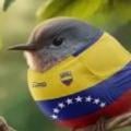 diciloncar21