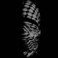 xyedshahyr